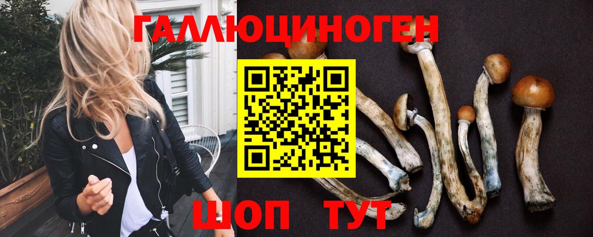 Псилоцибиновые грибы мицелий  Галлюциногенные грибы MAGIC MUSHROOMS  Верхняя Пышма  Вход с VPN 