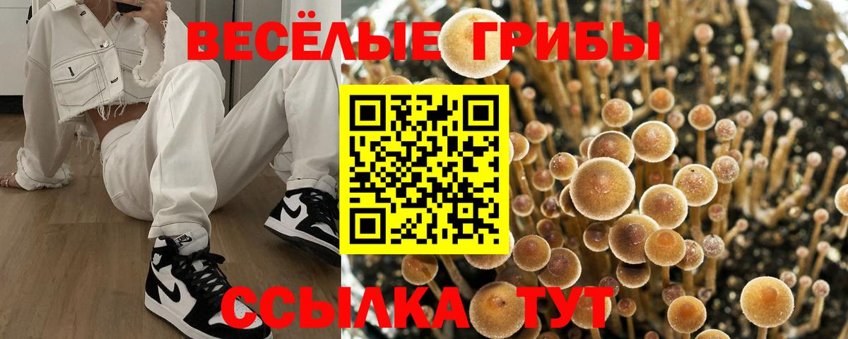 Псилоцибиновые грибы MAGIC MUSHROOMS Верхняя Пышма