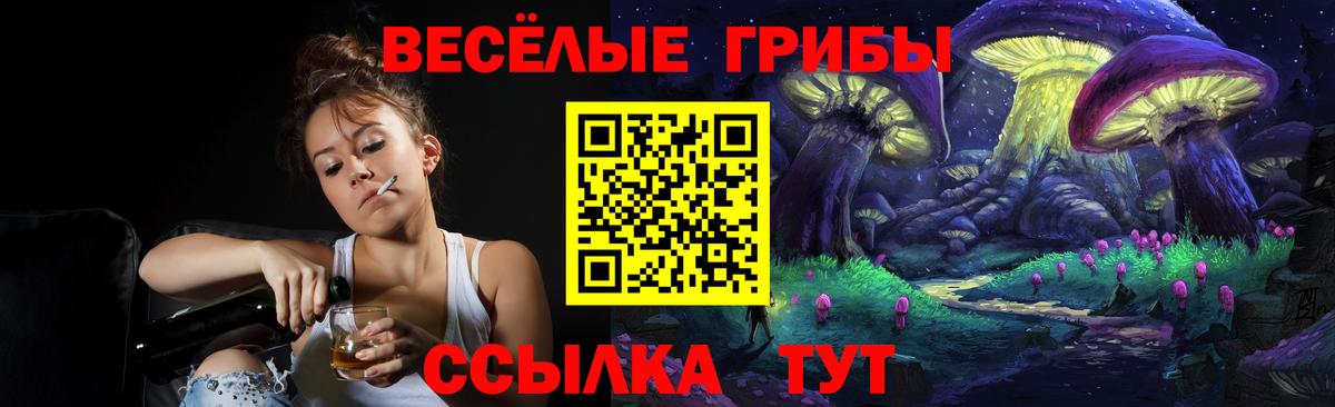Экстази  МЕТ  Конопля  Верхняя Пышма  Гашиш  Вход с VPN  Alpha-PVP СК кристаллы  Меф МЯУ МЯУ кристаллы 